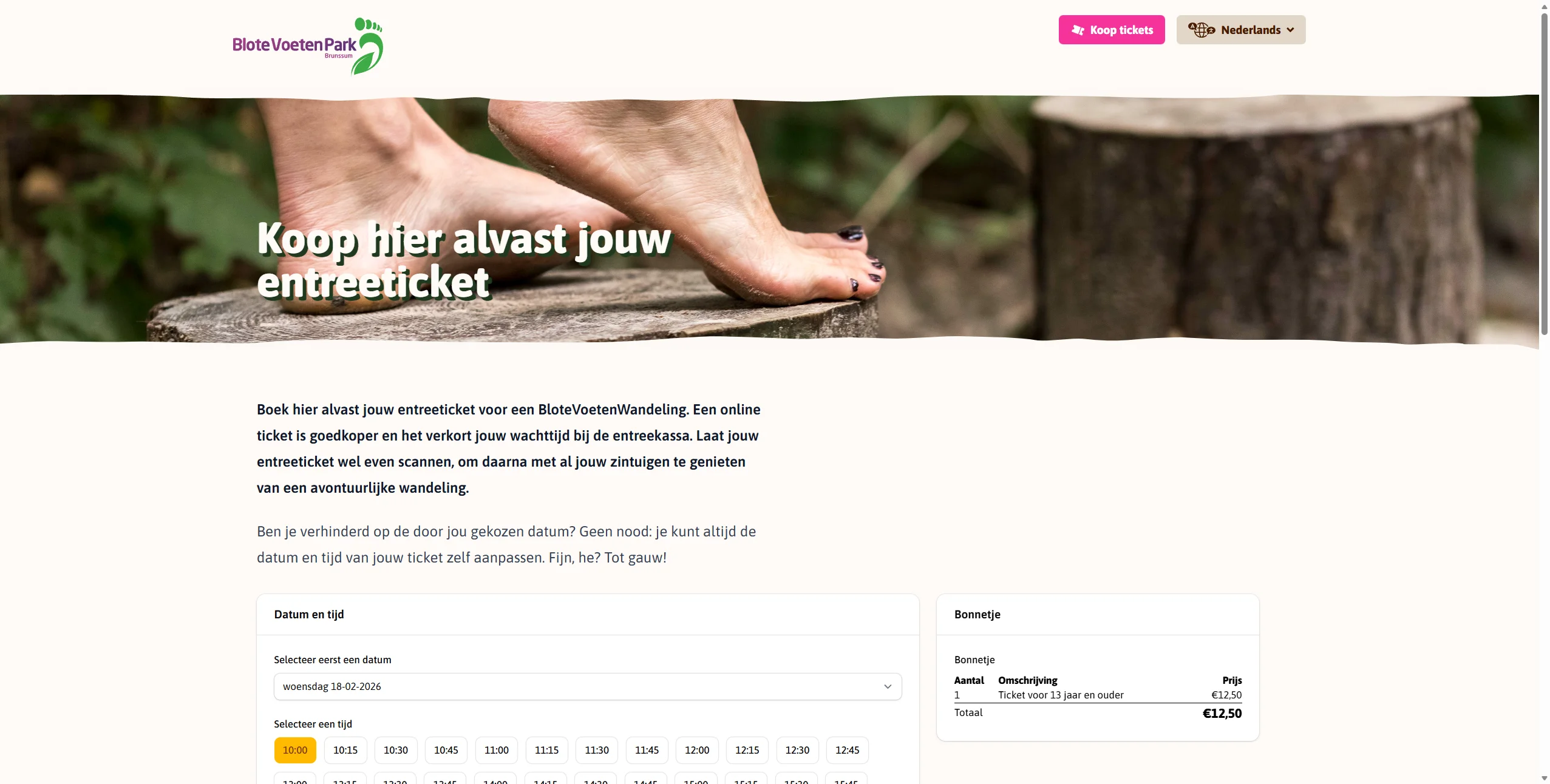 Online ticketing interface