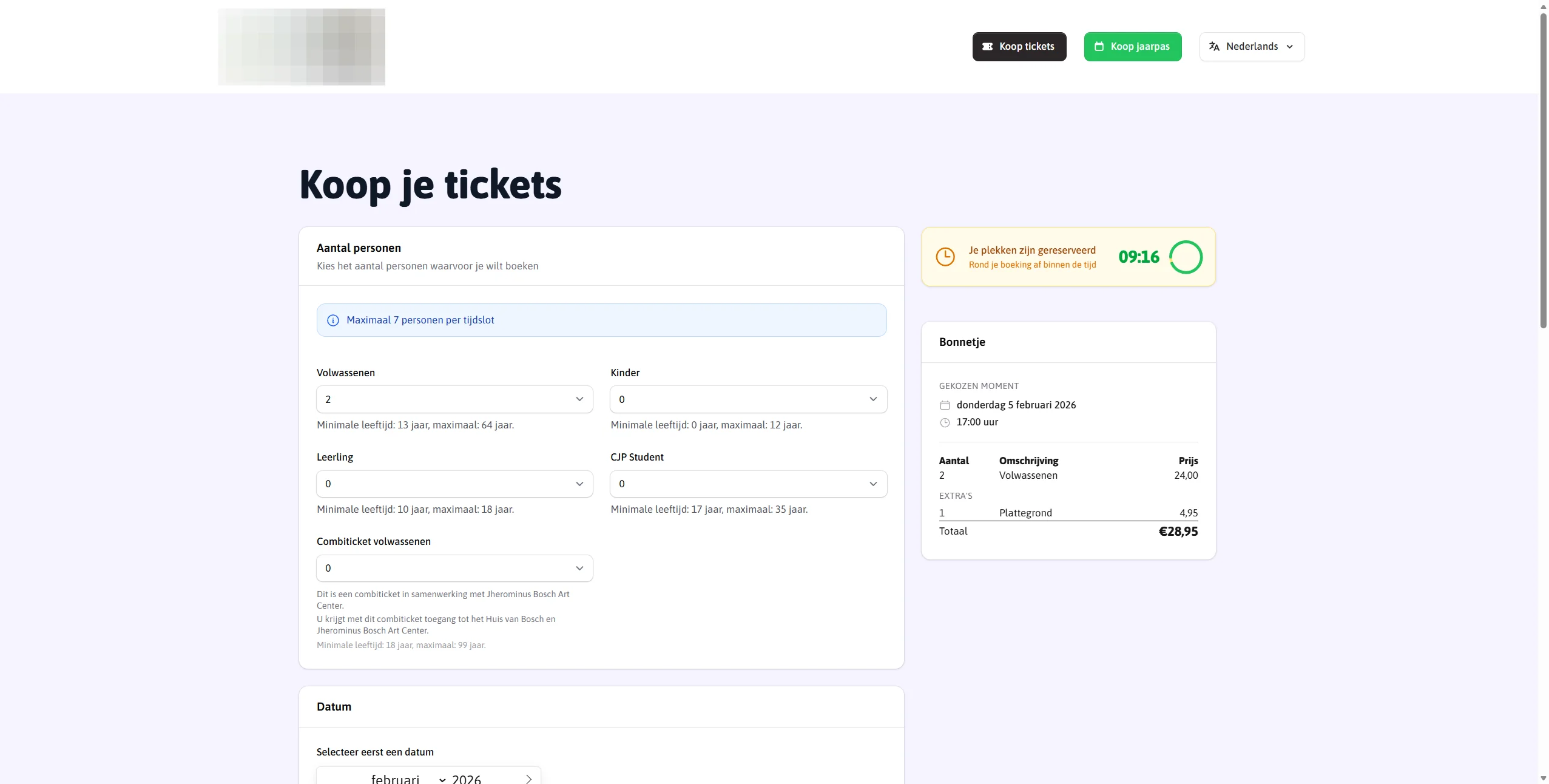 Online ticketing interface